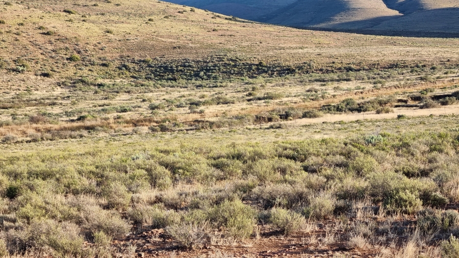 0 Bedroom Property for Sale in Middelburg Eastern Cape